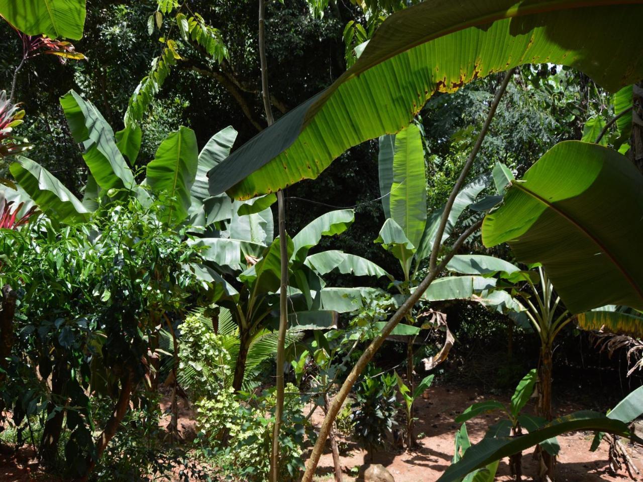 La Nature Apartments Au Cap Exterior photo
